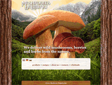 Tablet Screenshot of mushroom-bulgaria.com